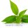 Sofri Color Energy Organic Tea Warmth of Heart AT-Bio-301 gr&uuml;n 42g